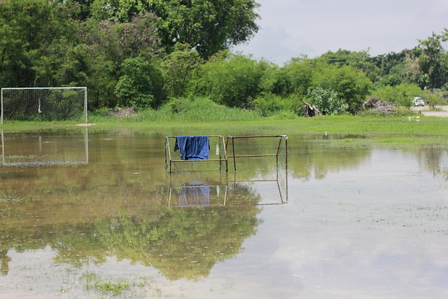 TA：FIFA在卖世界杯期间的停车证，价格是每场75至175美元